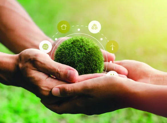 Réhabilitation environnementale d’un site dégradé